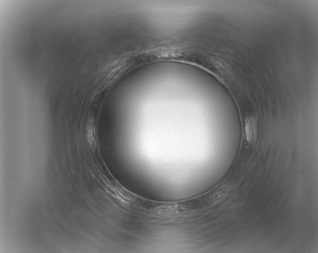 X0000056351444200509161749