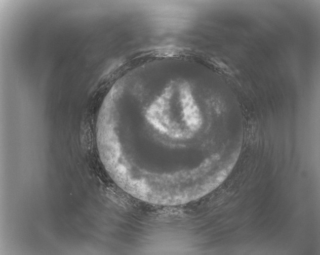 X0000056351446200509161749