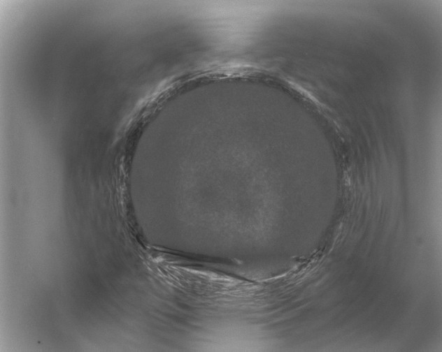 X0000056351447200509161749