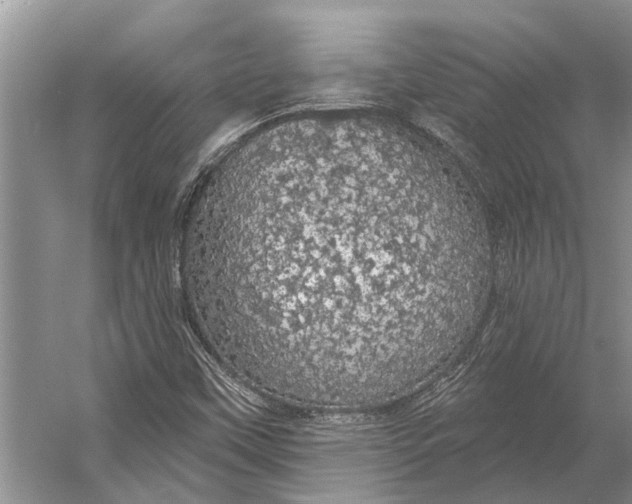 X0000056351451200509161749