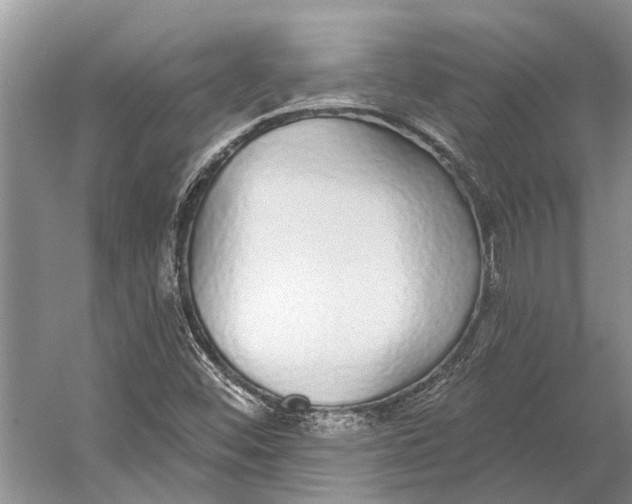 X0000056351452200509161749