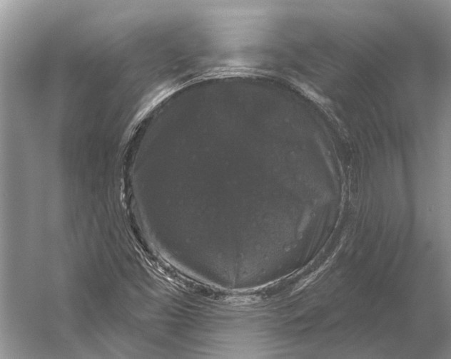 X0000056351453200509161749