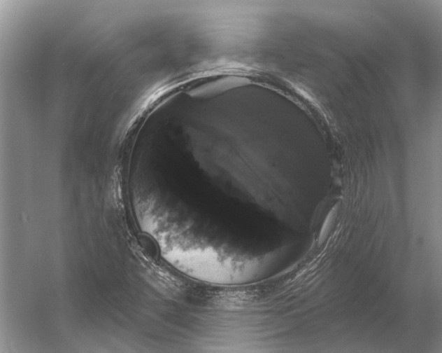 X0000056351455200509161749