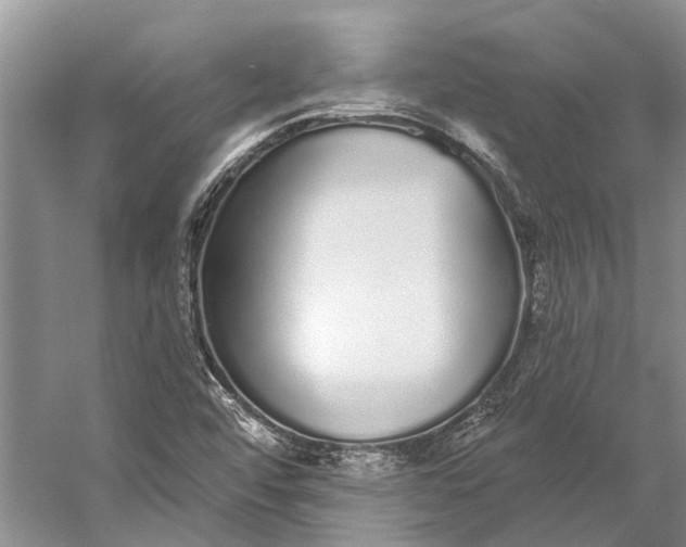 X0000056351456200509161749