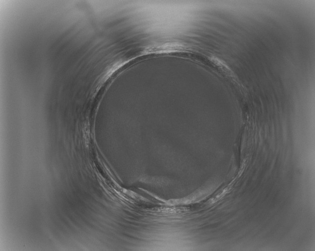 X0000056351457200509161749