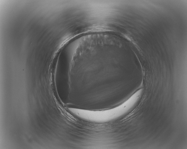 X0000056351459200509161749