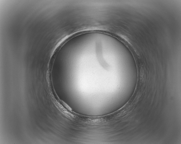 X0000056351460200509161749