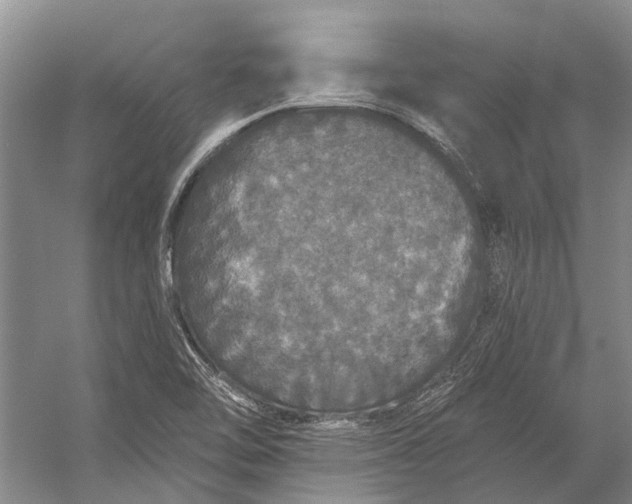 X0000056351462200509161749