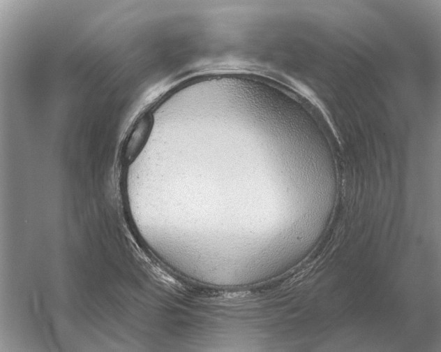 X0000056351464200509161749