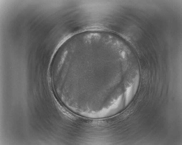 X0000056351466200509161749