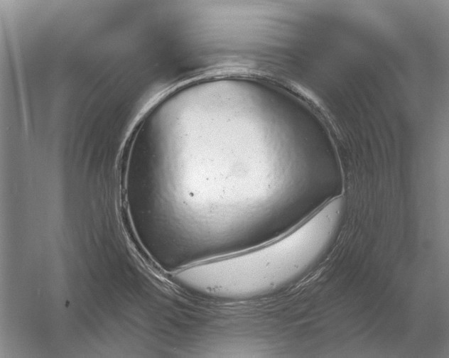 X0000056351467200509161749