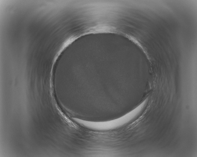 X0000056351469200509161749