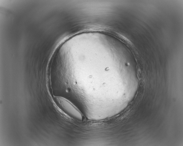 X0000056351471200509161749