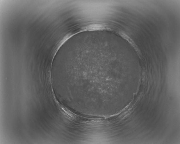 X0000056351473200509161749