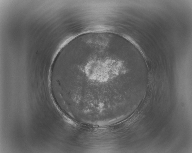 X0000056351477200509161749