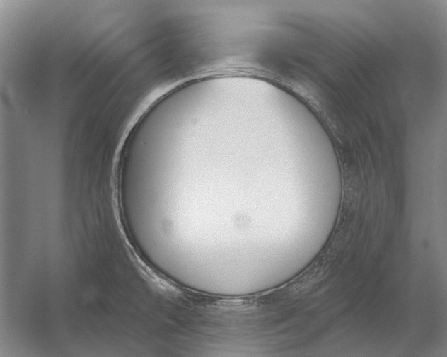 X0000056351478200509161749