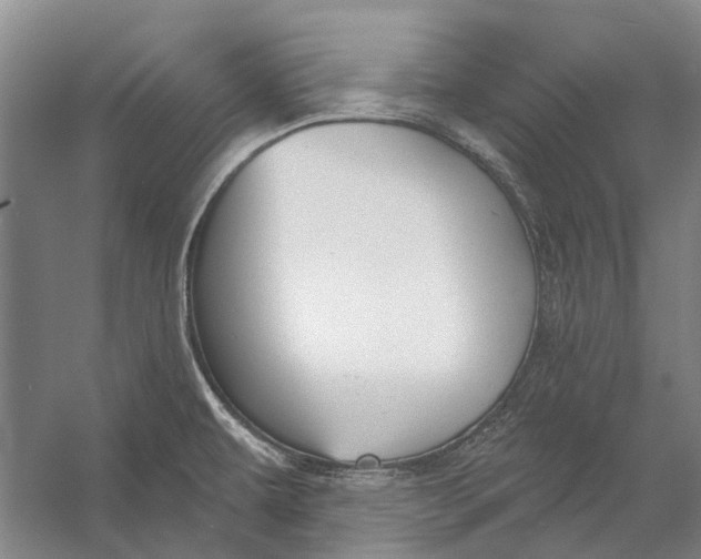 X0000056351479200509161749