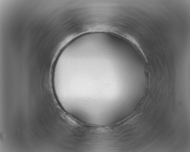 X0000056351480200509161749