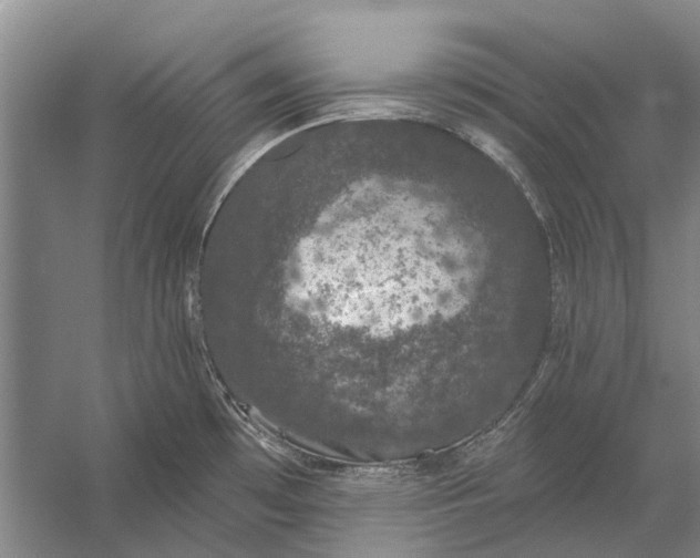 X0000056351481200509161749