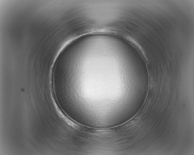 X0000056351483200509161749