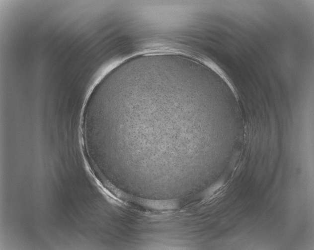 X0000056351485200509161749