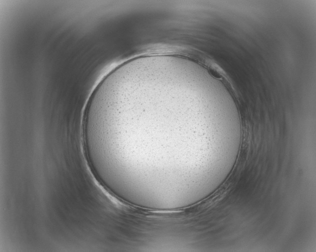 X0000056351487200509161749