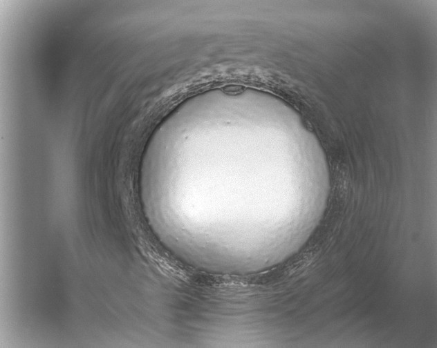 X0000056351489200509161748