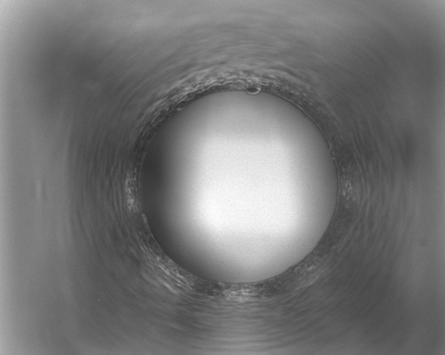 X0000056351490200509161748