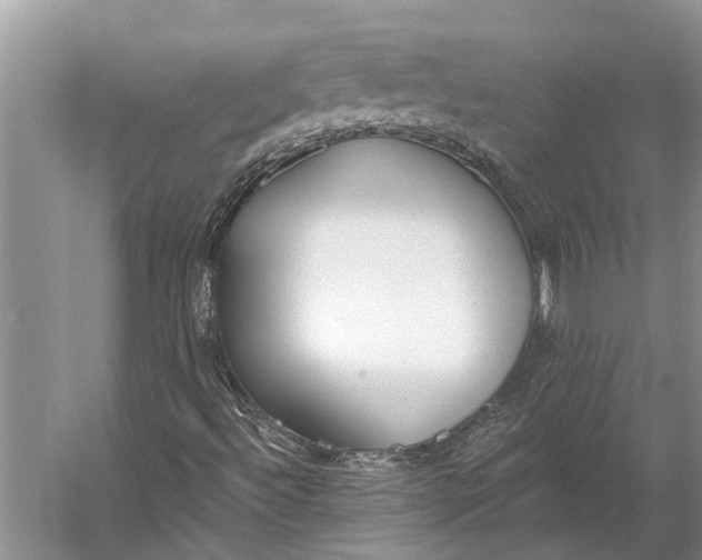 X0000056351492200509161748