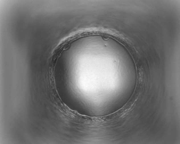 X0000056351494200509161748