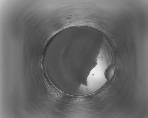 X0000056351497200509161748