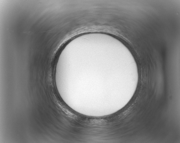 X0000056351498200509161748