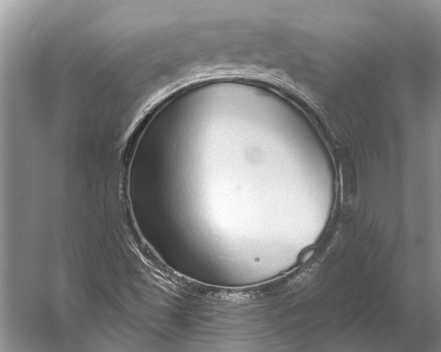 X0000056351501200509161748