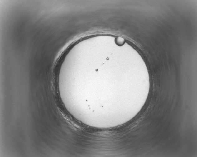 X0000056351502200509161748