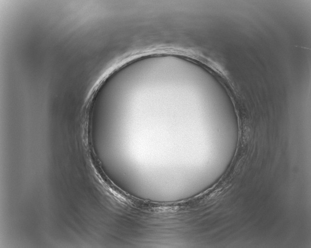 X0000056351504200509161748