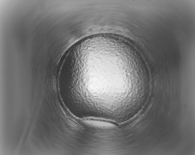 X0000056351505200509161748