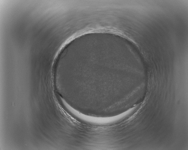 X0000056351506200509161748