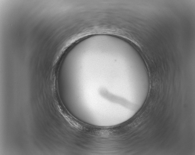 X0000056351507200509161748