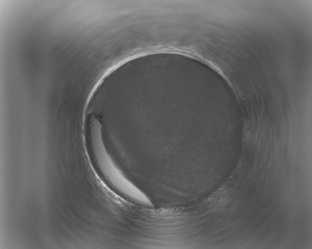 X0000056351508200509161748