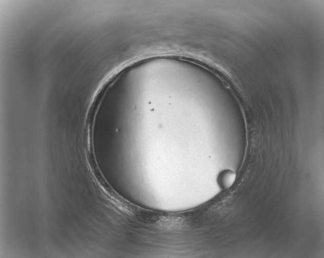 X0000056351509200509161748