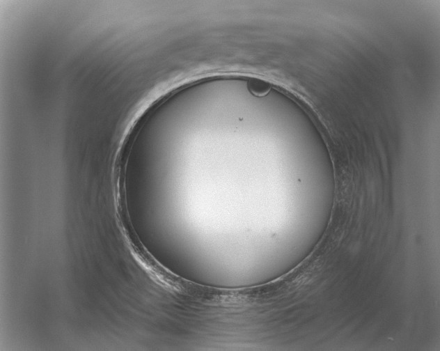 X0000056351511200509161748