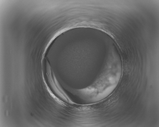 X0000056351515200509161748