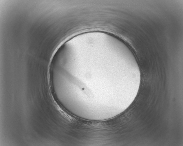 X0000056351516200509161748