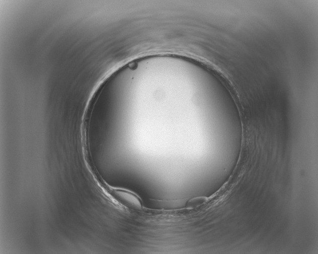 X0000056351517200509161748