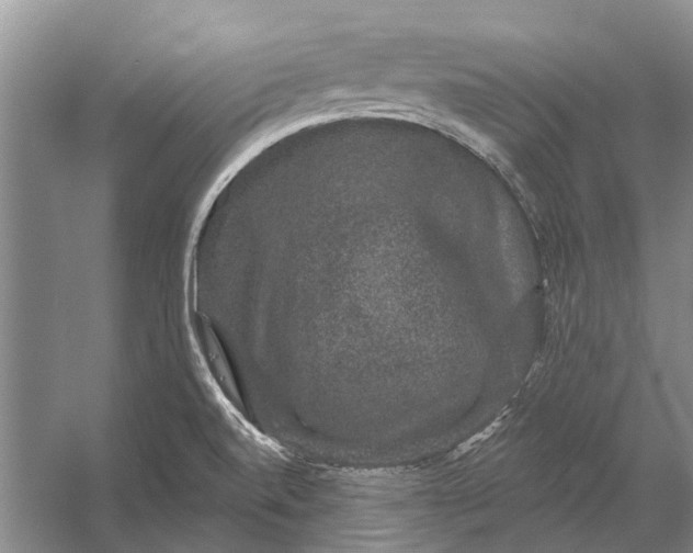 X0000056351520200509161748