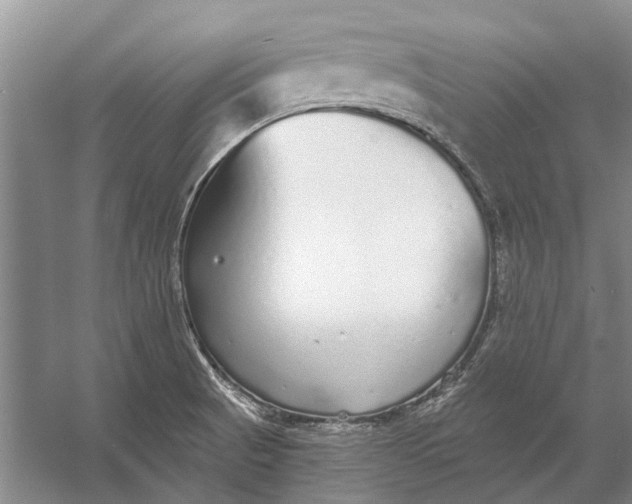 X0000056351521200509161748