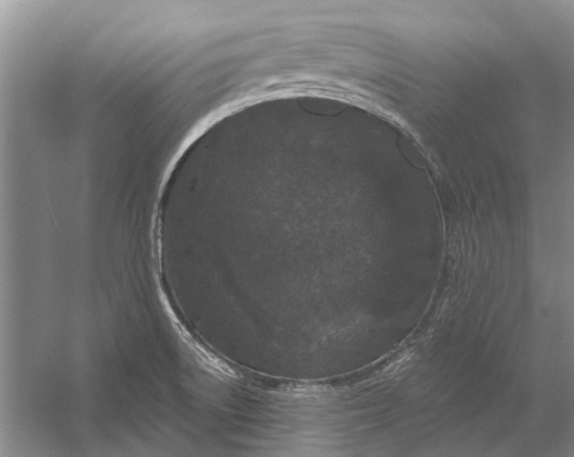 X0000056351522200509161748