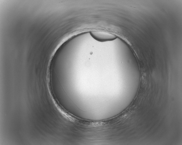 X0000056351523200509161748