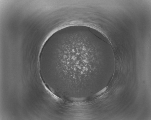 X0000056351527200509161748