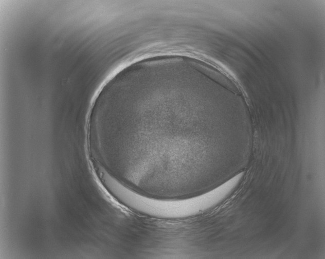 X0000056351528200509161748